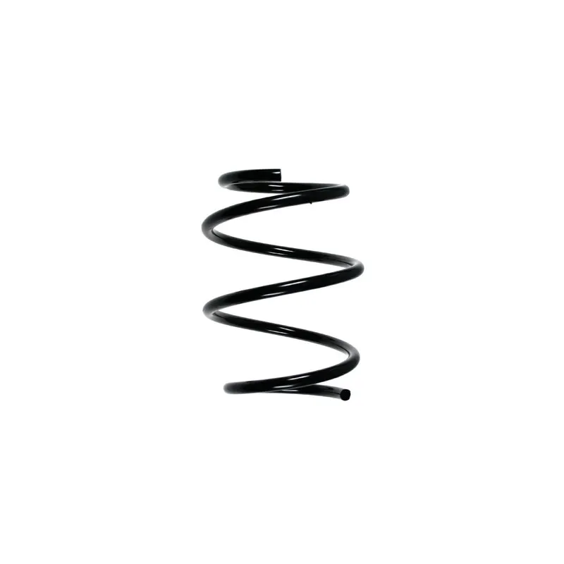 Ressort de suspension SPIDAN 49755