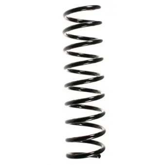 Ressort de suspension SPIDAN 49756