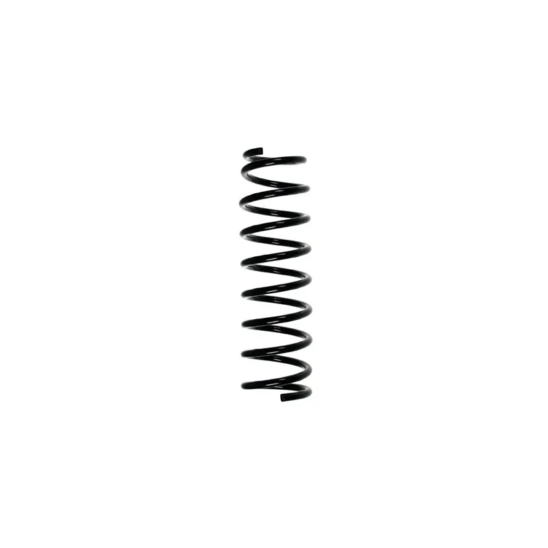 Ressort de suspension SPIDAN 49762