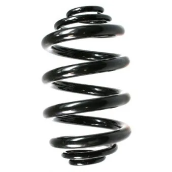 Ressort de suspension SPIDAN 49763