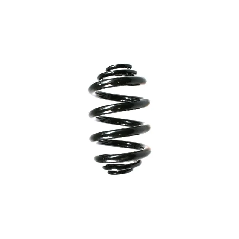 Ressort de suspension SPIDAN 49763