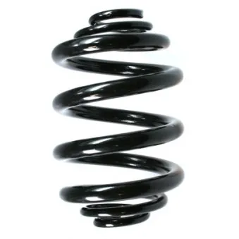 Ressort de suspension SPIDAN 49764
