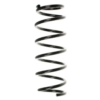 Ressort de suspension SPIDAN 49766