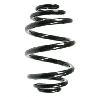 Ressort de suspension SPIDAN 49767