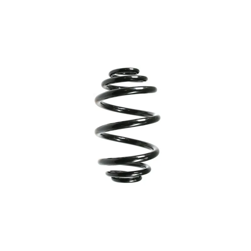 Ressort de suspension SPIDAN 49767