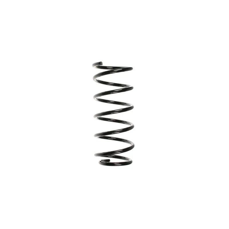 Ressort de suspension SPIDAN 49769