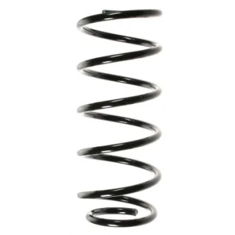 Ressort de suspension SPIDAN 49770