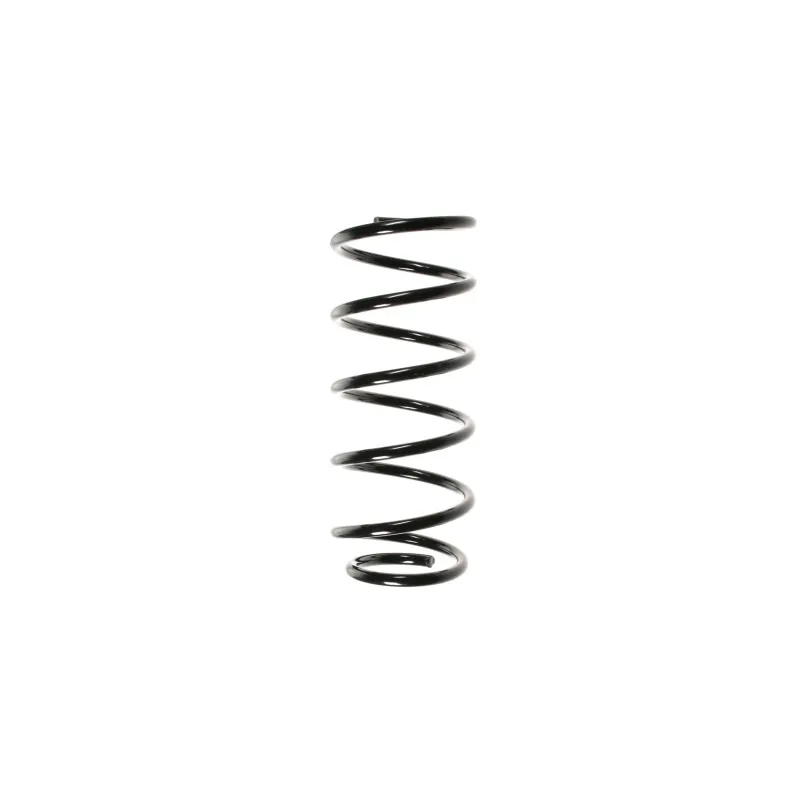 Ressort de suspension SPIDAN 49770