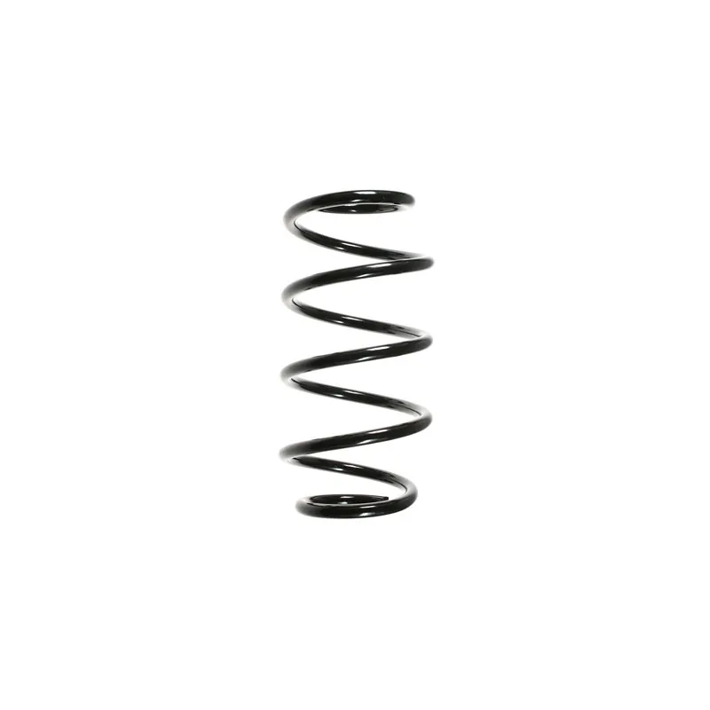 Ressort de suspension SPIDAN 49771