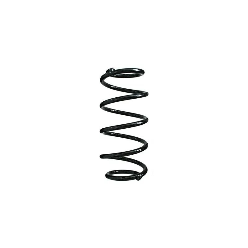 Ressort de suspension SPIDAN 49774