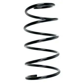 Ressort de suspension SPIDAN 49775