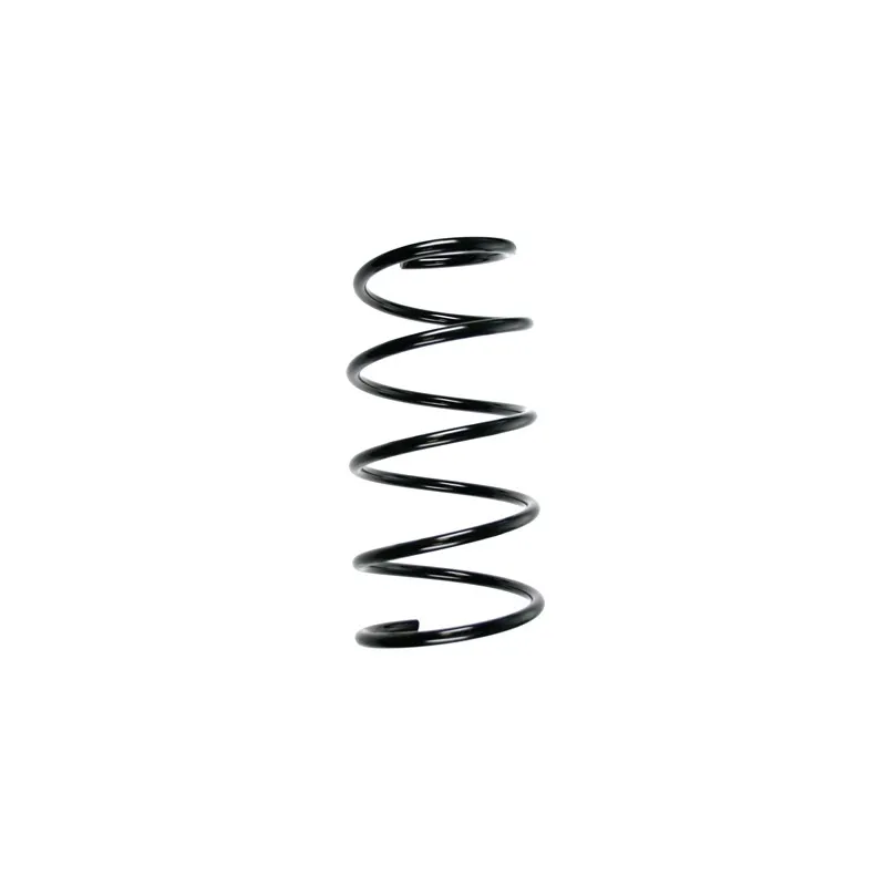 Ressort de suspension SPIDAN 49775