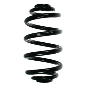 Ressort de suspension SPIDAN 49777