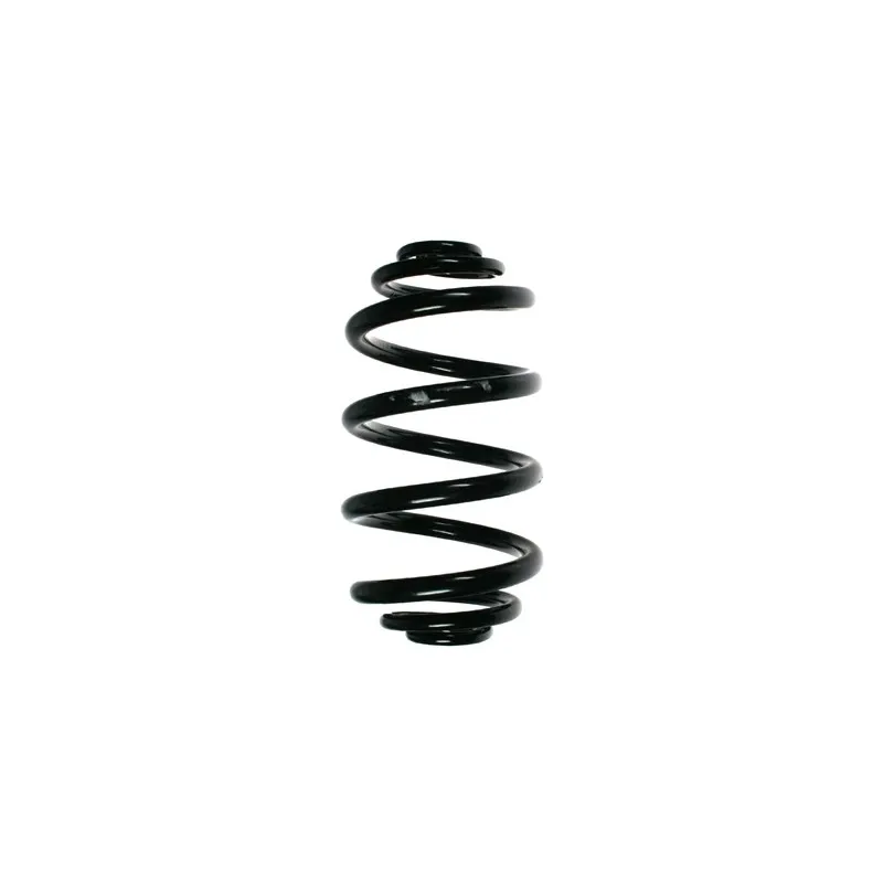 Ressort de suspension SPIDAN 49777