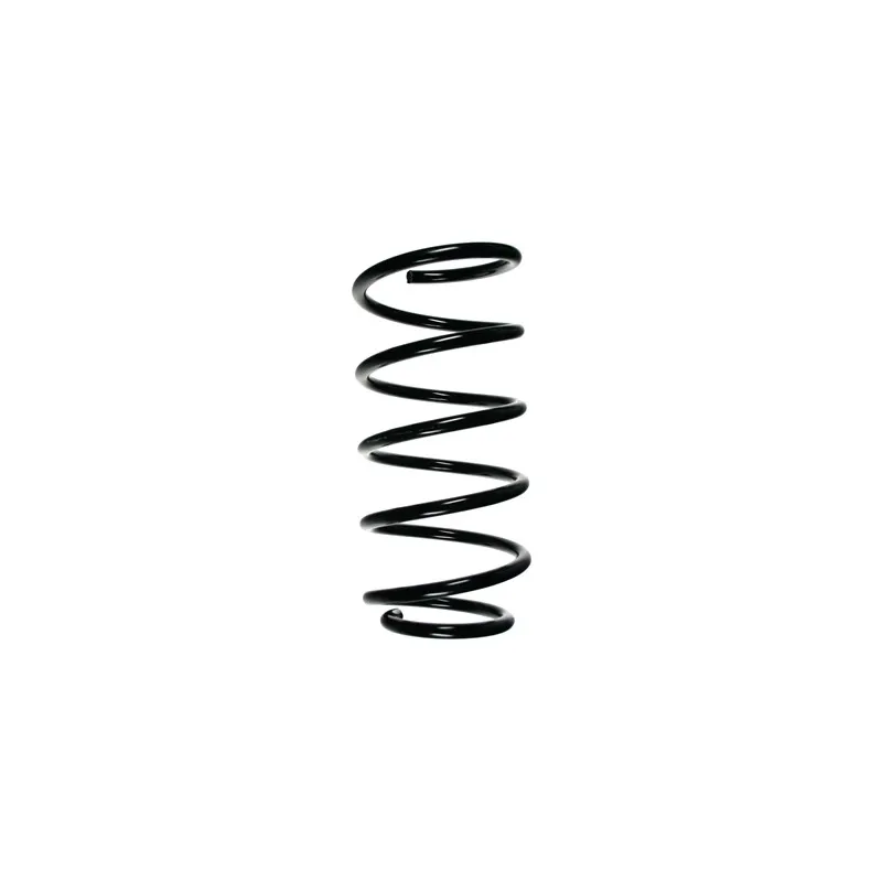 Ressort de suspension SPIDAN 49780