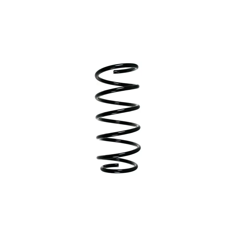 Ressort de suspension SPIDAN 49781