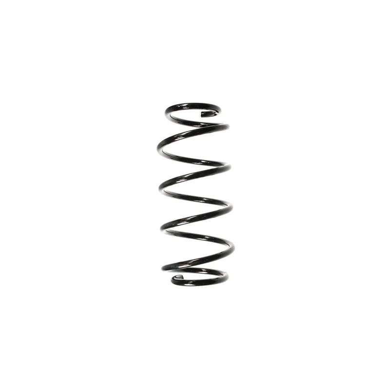 Ressort de suspension SPIDAN 49784