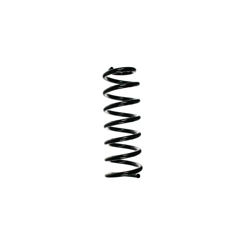 Ressort de suspension SPIDAN 49785