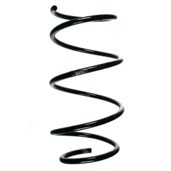 Ressort de suspension SPIDAN 49786