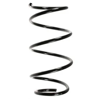Ressort de suspension SPIDAN 49789