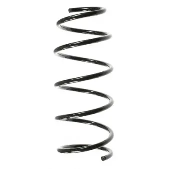 Ressort de suspension SPIDAN 49790