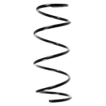 Ressort de suspension SPIDAN 49791