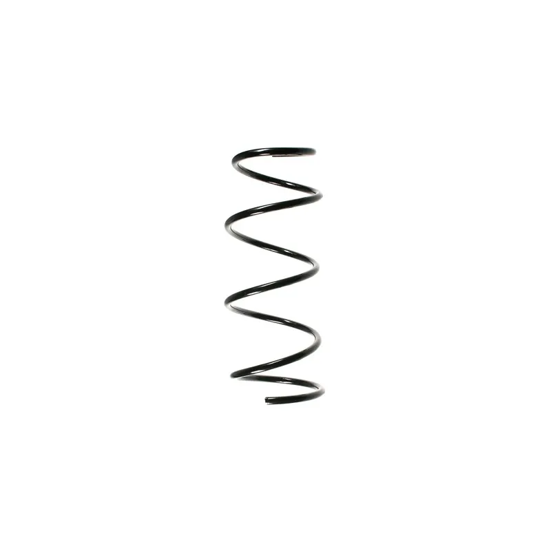 Ressort de suspension SPIDAN 49791