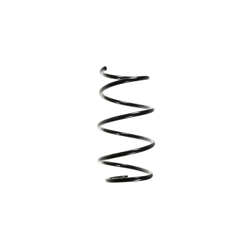 Ressort de suspension SPIDAN 49794