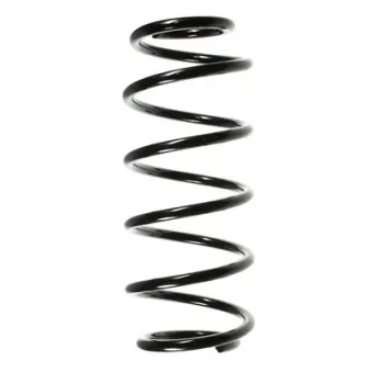 Ressort de suspension SPIDAN 49795