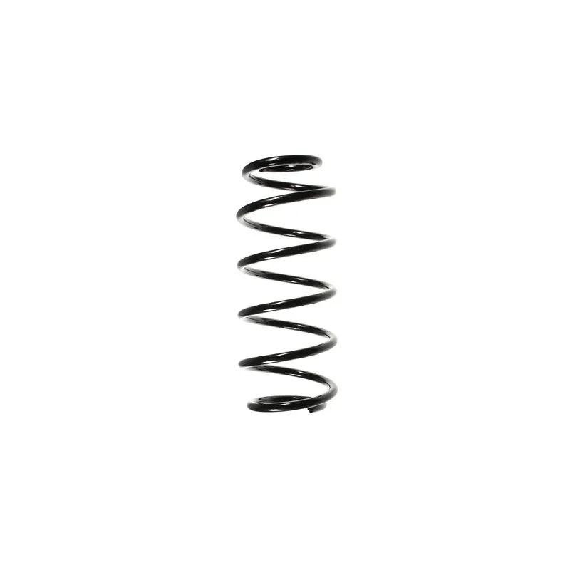 Ressort de suspension SPIDAN 49795