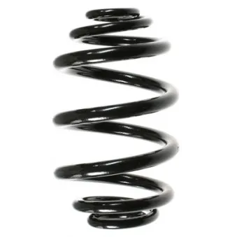 Ressort de suspension SPIDAN 49796