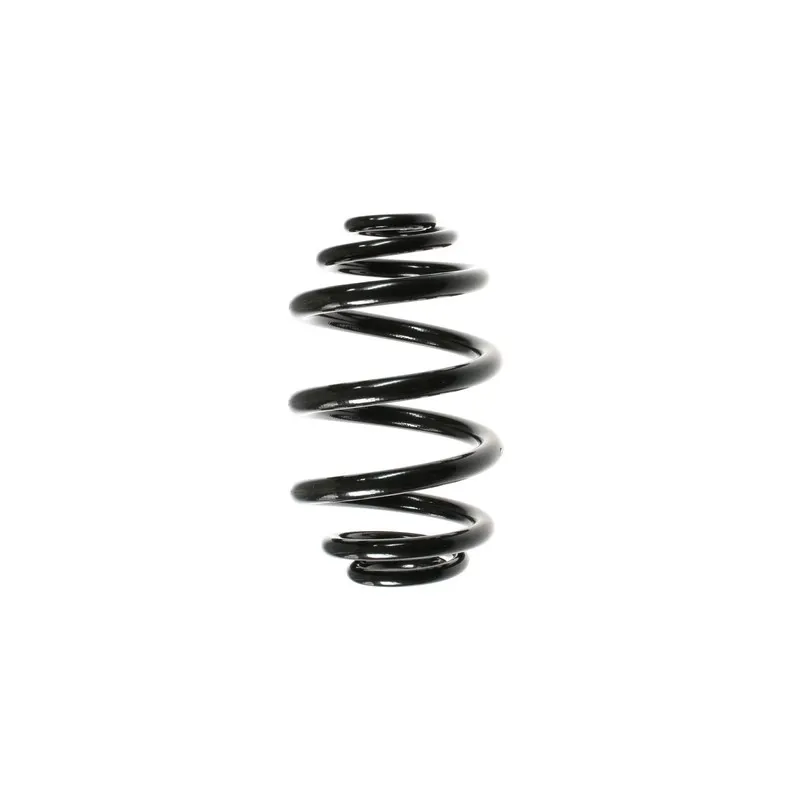Ressort de suspension SPIDAN 49796