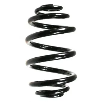 Ressort de suspension SPIDAN 49797