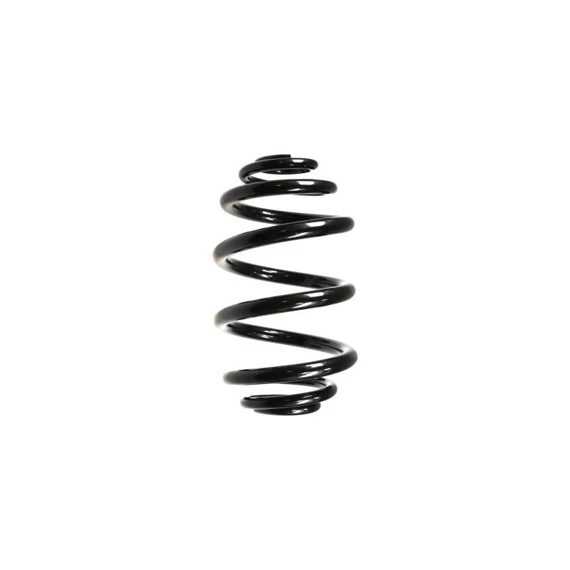 Ressort de suspension SPIDAN 49797