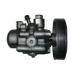 Pompe hydraulique, direction SPIDAN 53598 - Visuel 1