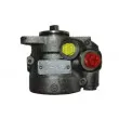 Pompe hydraulique, direction SPIDAN 53605 - Visuel 3