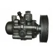 Pompe hydraulique, direction SPIDAN 53666 - Visuel 1