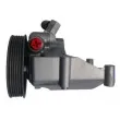 Pompe hydraulique, direction SPIDAN 53667 - Visuel 3