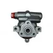 Pompe hydraulique, direction SPIDAN 53672 - Visuel 1