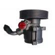 Pompe hydraulique, direction SPIDAN 53753 - Visuel 3
