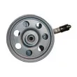 Pompe hydraulique, direction SPIDAN 54061 - Visuel 1