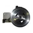 Pompe hydraulique, direction SPIDAN 54174 - Visuel 1