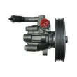 Pompe hydraulique, direction SPIDAN 54190 - Visuel 3