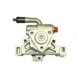 Pompe hydraulique, direction SPIDAN 54271 - Visuel 1