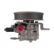 Pompe hydraulique, direction SPIDAN 54287 - Visuel 3
