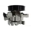 Pompe hydraulique, direction SPIDAN 54589 - Visuel 1