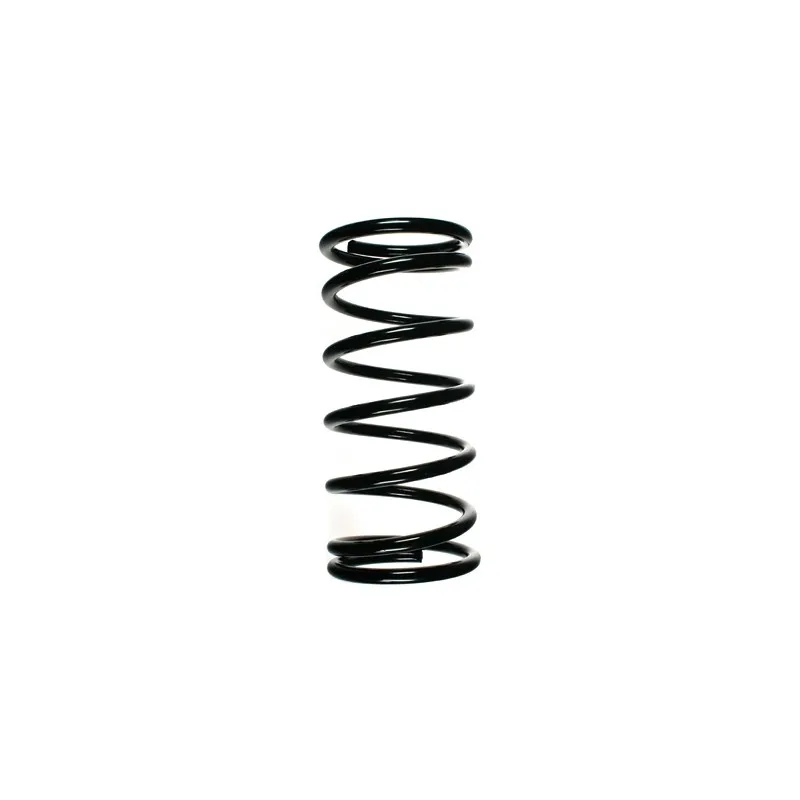 Ressort de suspension SPIDAN 55006