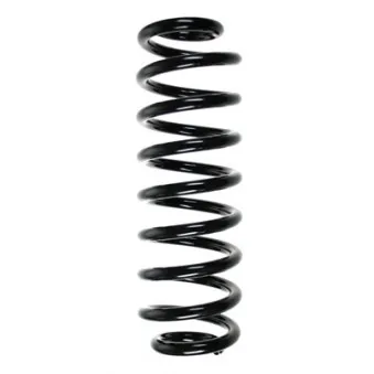 Ressort de suspension SPIDAN 55007