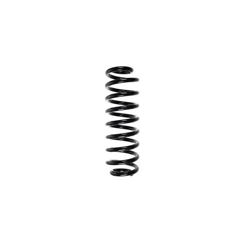 Ressort de suspension SPIDAN 55007