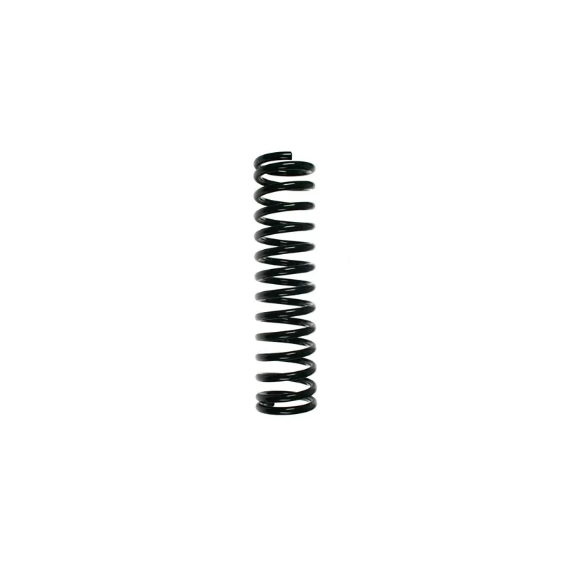 Ressort de suspension SPIDAN 55008